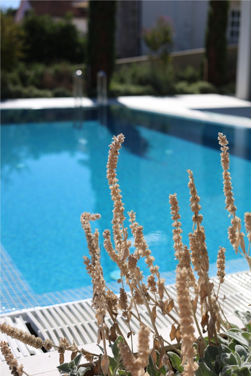 Villa Brac private pool